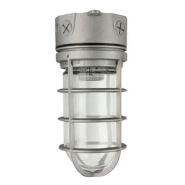 JELLY Jar Ceiling Mounted 120V E26 Socket Wet Silver With 9W A19 SBLED Lamp 3000K (JJC12001) Maxlite 101443