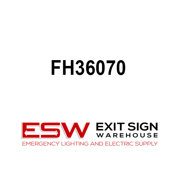 FH36070-SquareDMoldedCase70AmperageCircuitBreaker