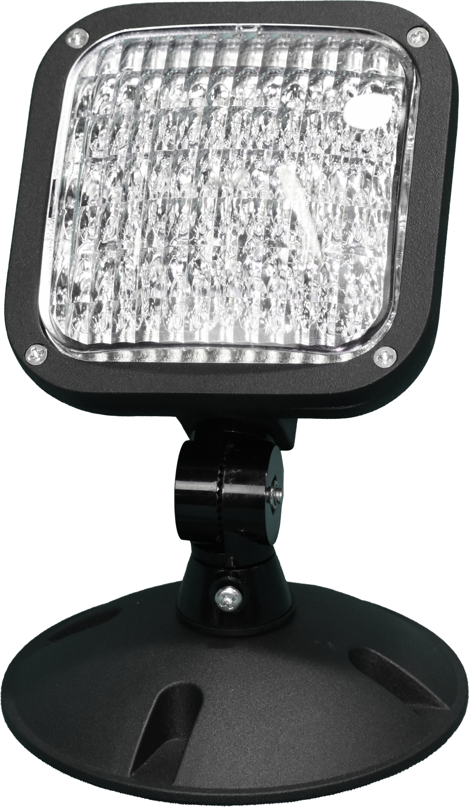 Black self diagnostic remote lamp fixture