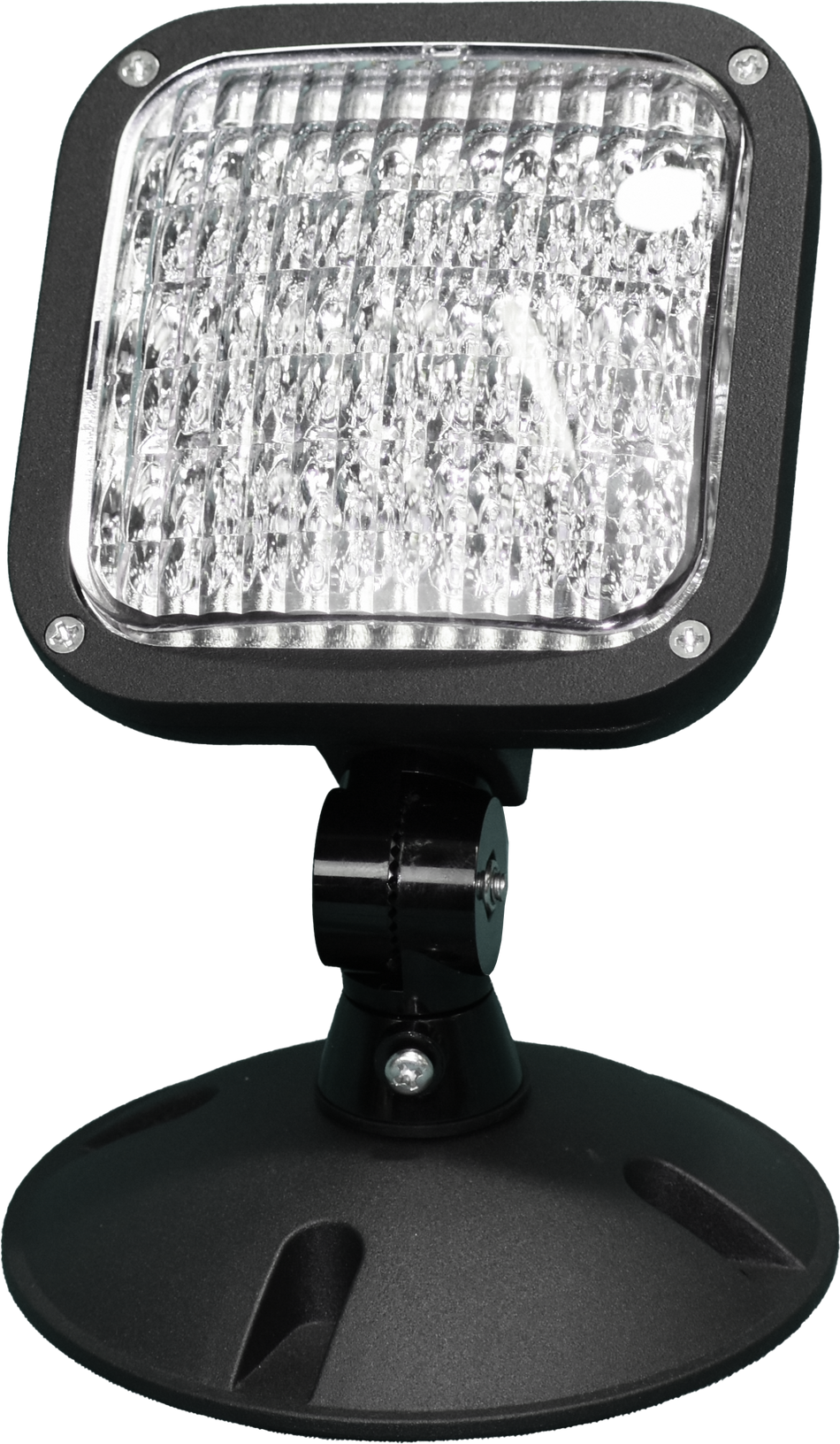 Black self diagnostic remote lamp fixture