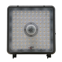 LED Canopy Fixture - 10,000 Lumens Color Selectable 
