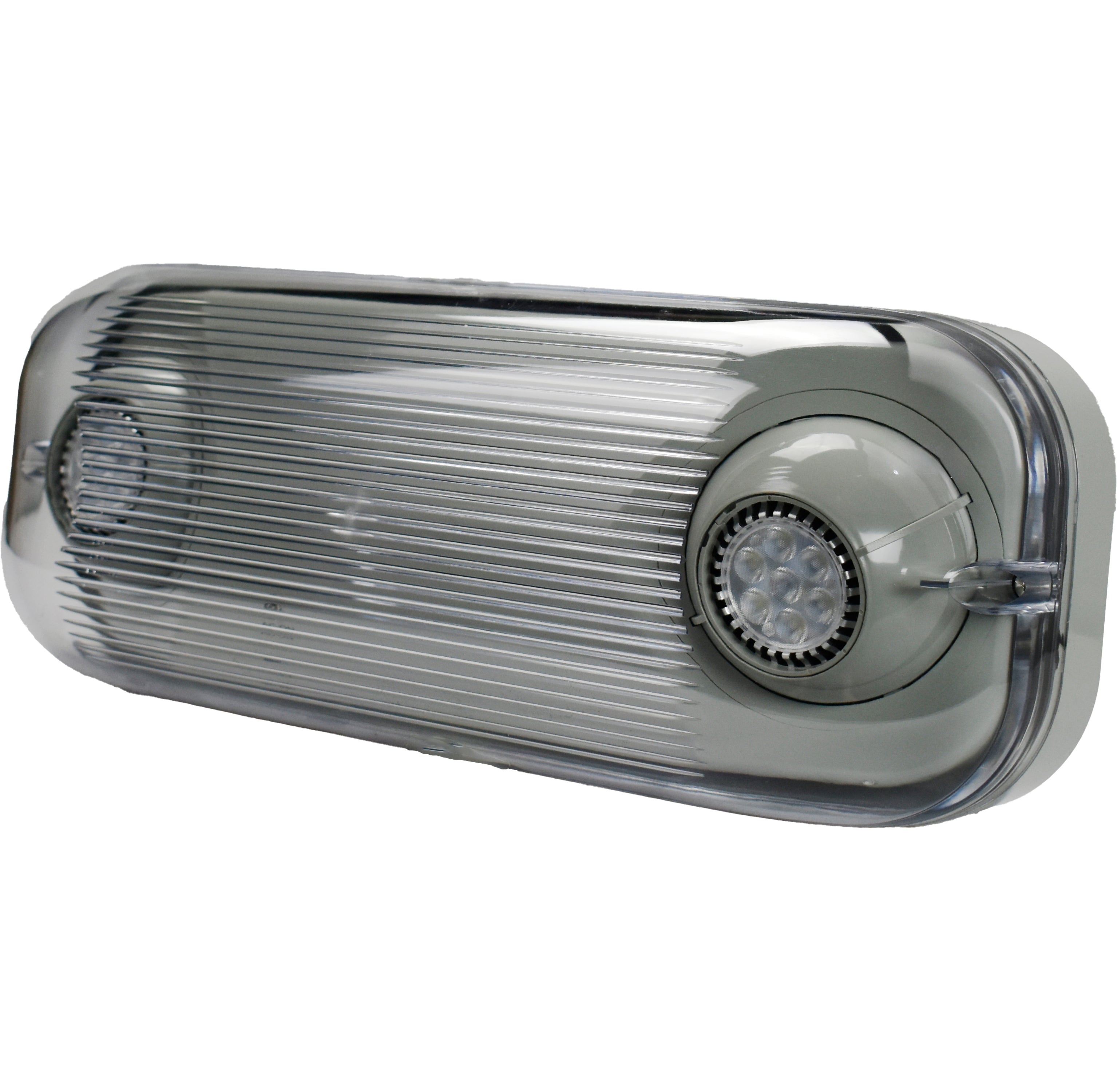 Freezer Rated Emergency Light -4 FAHRENHEIT