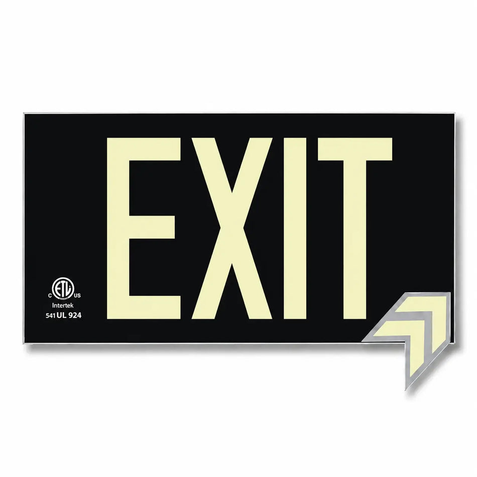 Glow in the Dark Photoluminscent Black Exit Sign, front view