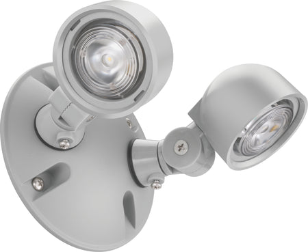 Low profile double head remote lamp
