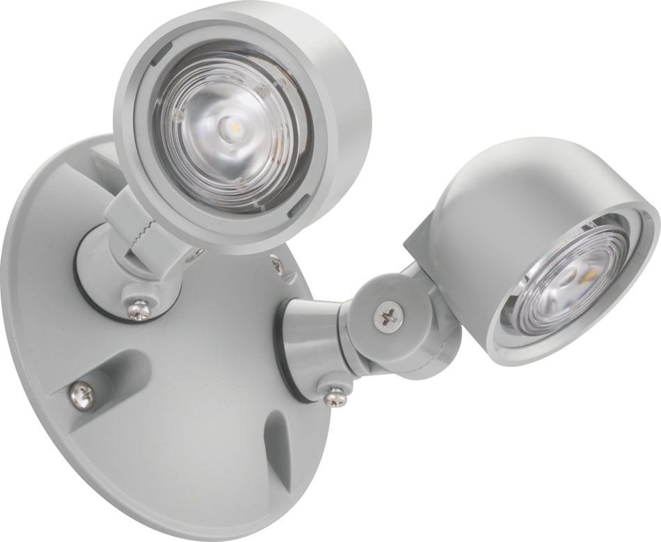 Low profile double head remote lamp