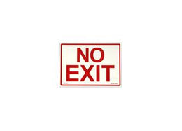 Photoluminescent Fire Safety "No Exit" Sign