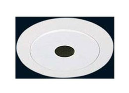 Pin Spot BL106 Trim 50W/R20