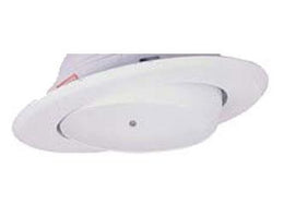 White Eyeball R30/PAR30 BLT500 Trim 75W/PAR 30