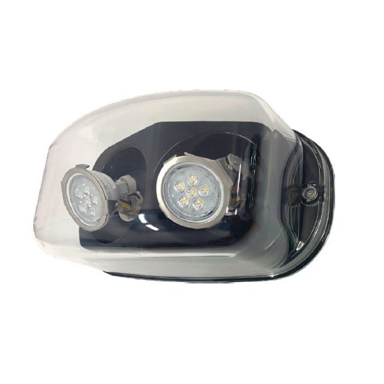 Remote Lamp NEMA4 and NSF - Black Housing 