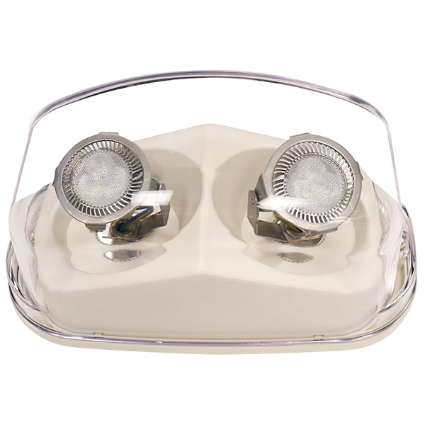 NEMA4x Remote Lamps-  Dual Lamps - White 