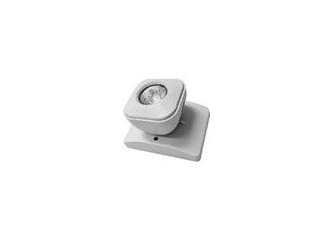 Thermoplastic Bi-Pin Halogen Square Head