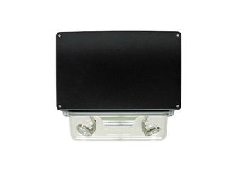Vandal Resistant Wet Location Emergency Light